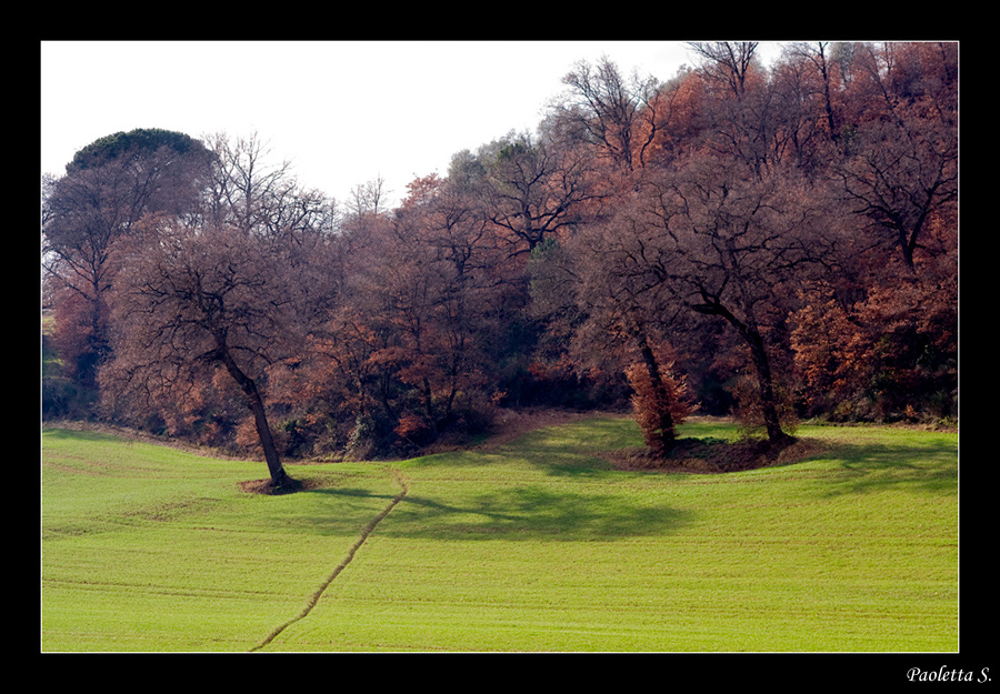 I colori della Val d'Orcia