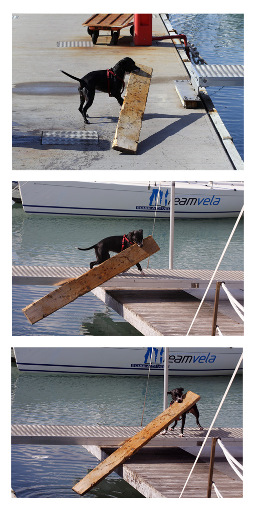 Forza bestiale........