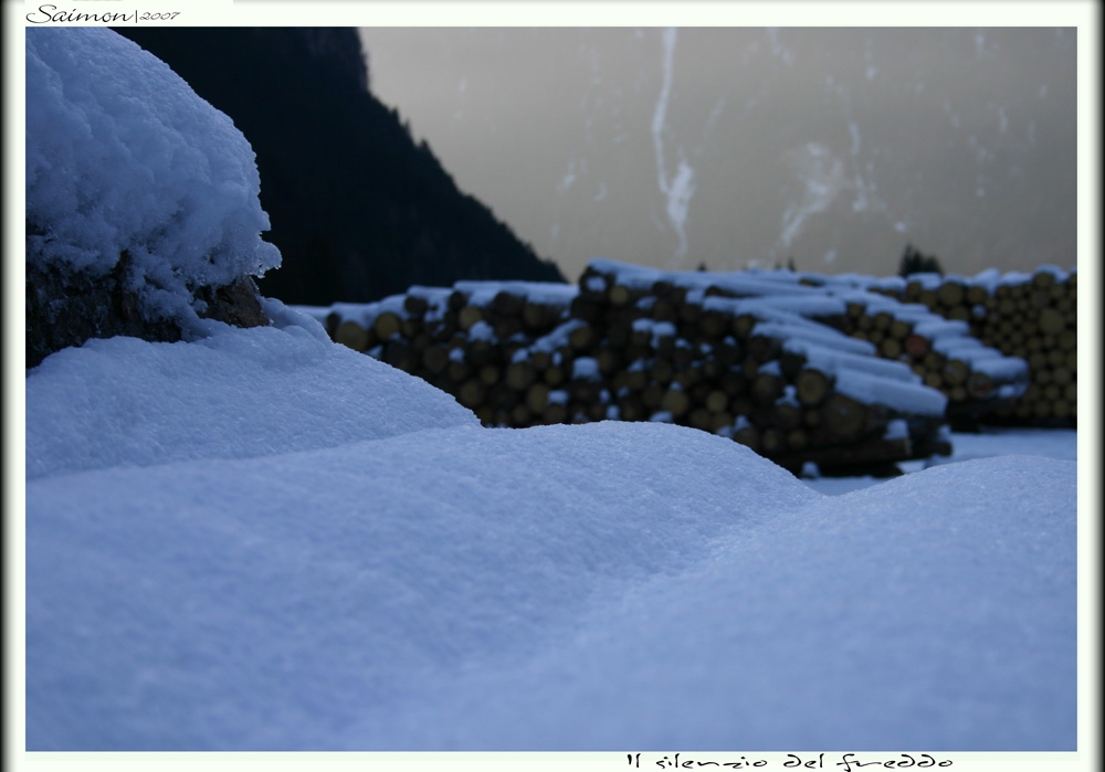 Il silenzio del freddo