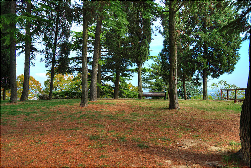 Boschetto a bertinoro