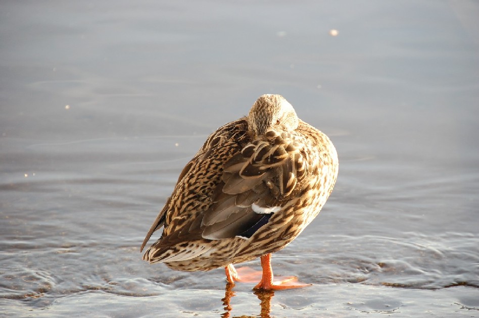 primi scatti per il corso di fotografia