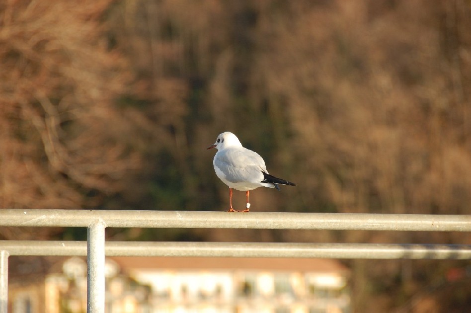 primi scatti per il corso di fotografia