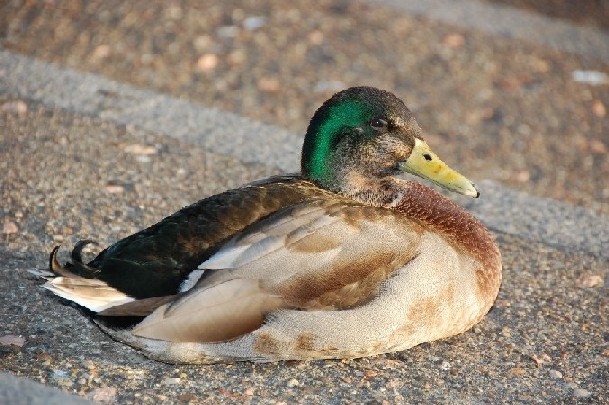 primi scatti per il corso di fotografia