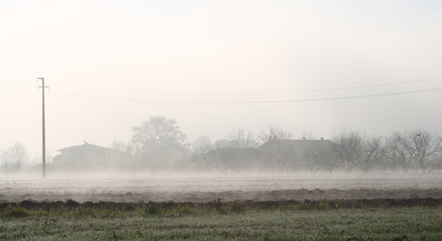 Panorama nebbioso