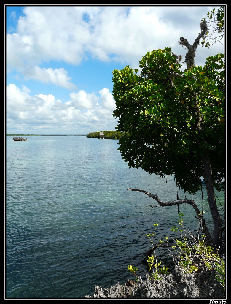Parco marino di Watamu