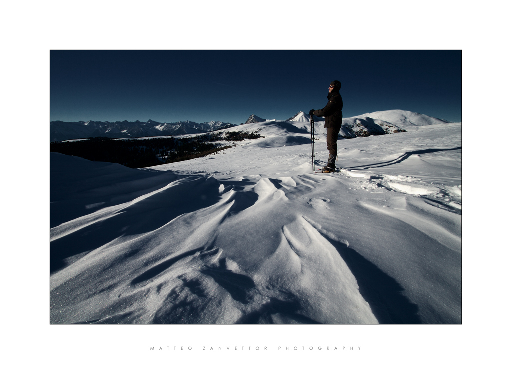 Nature is my Kingdom XII