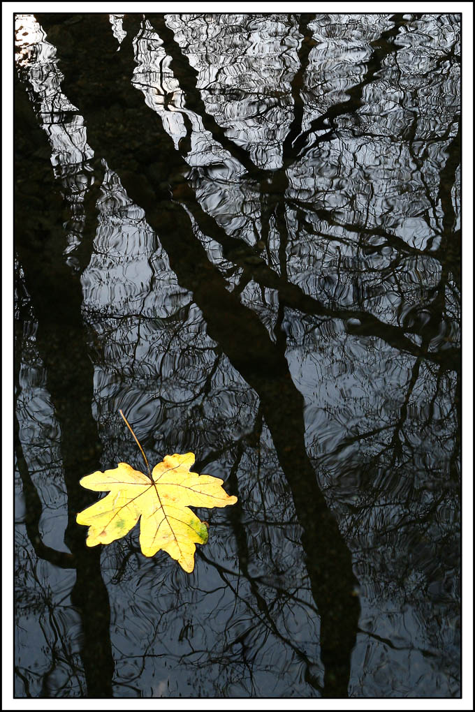 Nei rigagnoli ...d'autunno