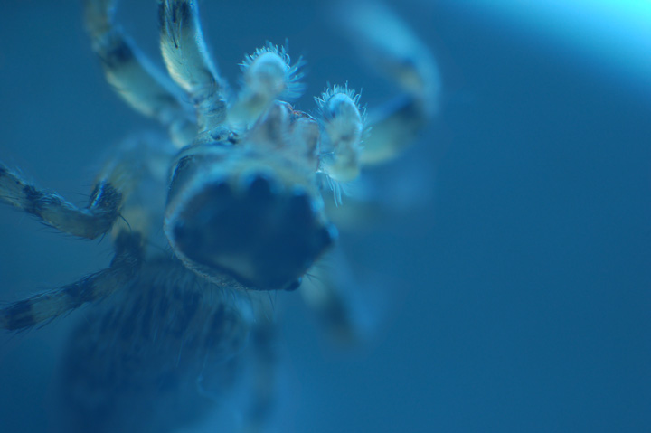 Macro ai limiti della sperimentazione