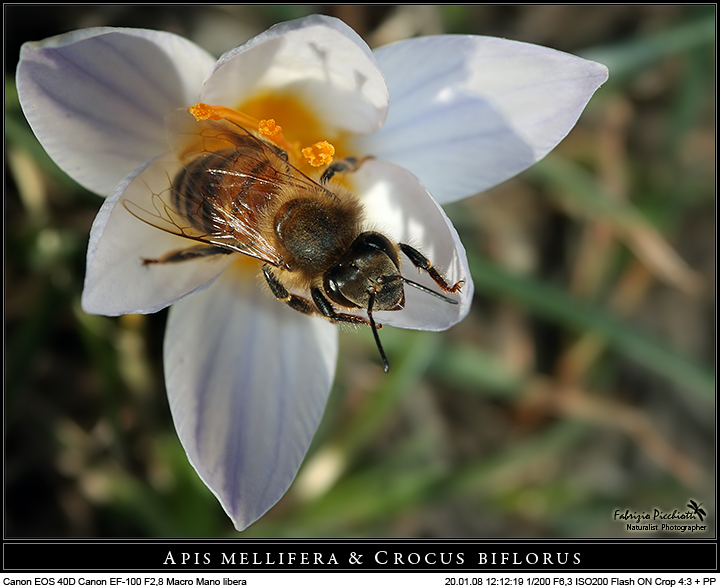 Contenuto & contenente!