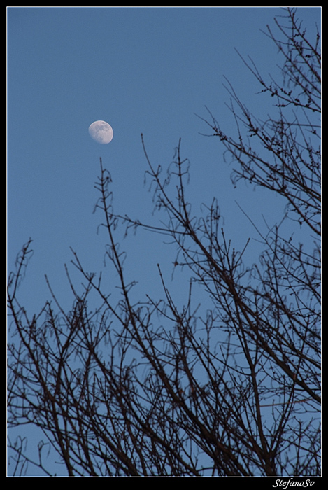 ...prendere la luna con un ramo...