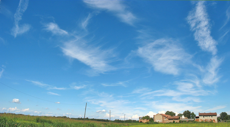 Il cielo sopra il riso_2