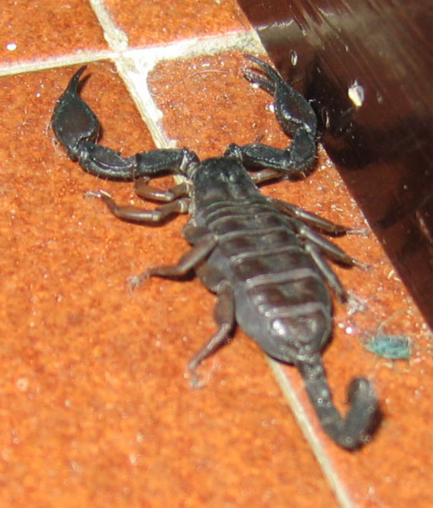 Una simpatica visita