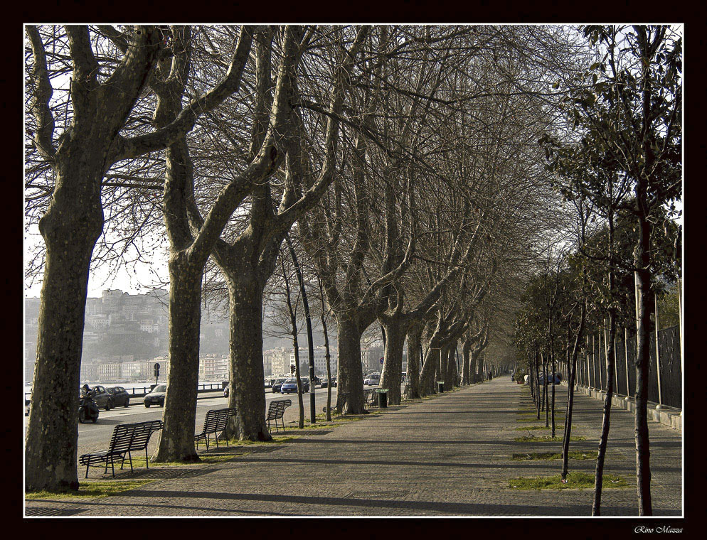Prospettive sul lungomare