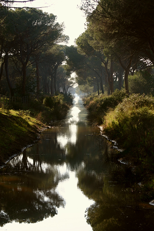Canale nel Parco dell'Uccellina