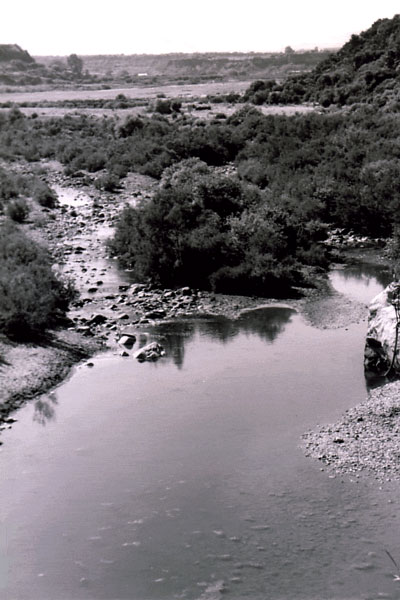 Sicily oasi del simeto
