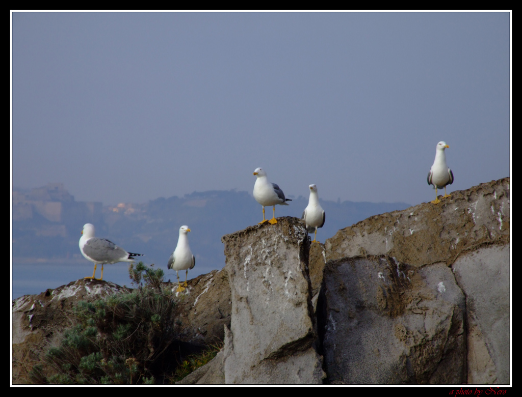 I Migliori Anni della Nostra Vita