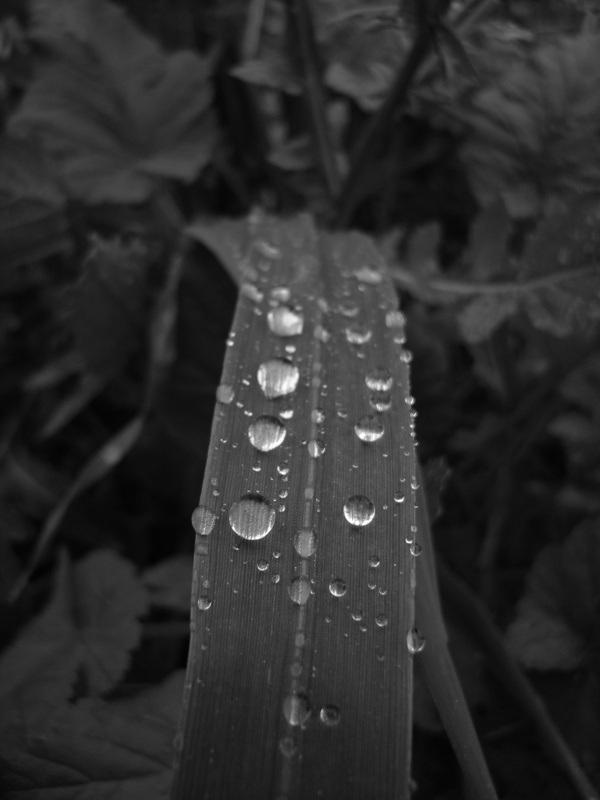 una goccia alla volta