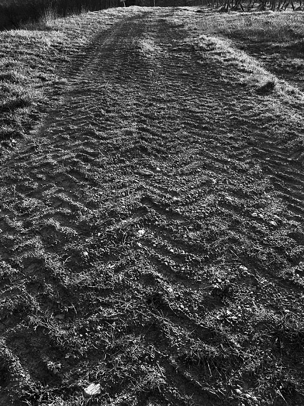 Geometrie del duro lavoro