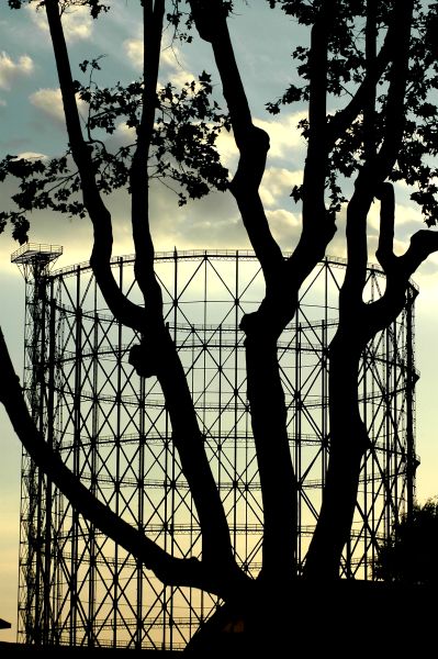 la rivincita del verde