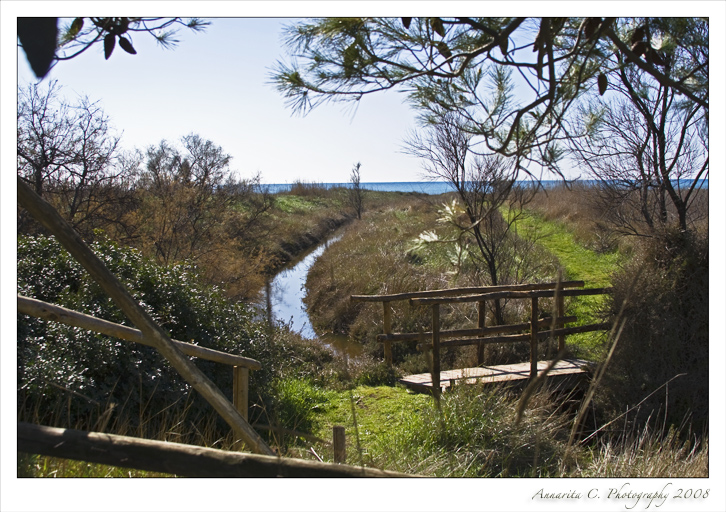 Scorcio sul ruscello