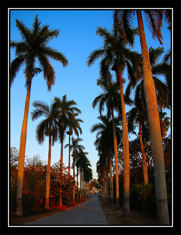 cu�ndo el sol se va escondiendo