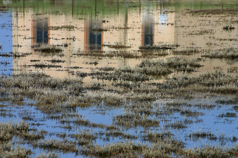 Casolare in Maremma riflesso