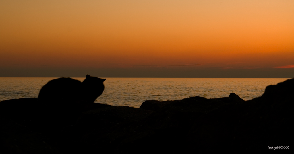 ...cosa vedono i nostri  occhi...