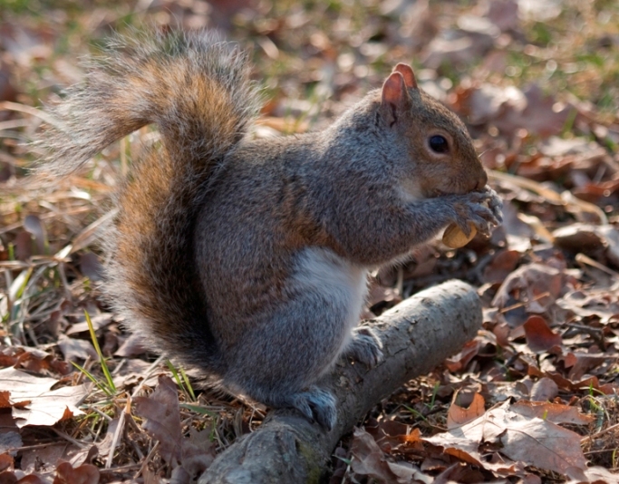 mmmm!!! che buono !!!!