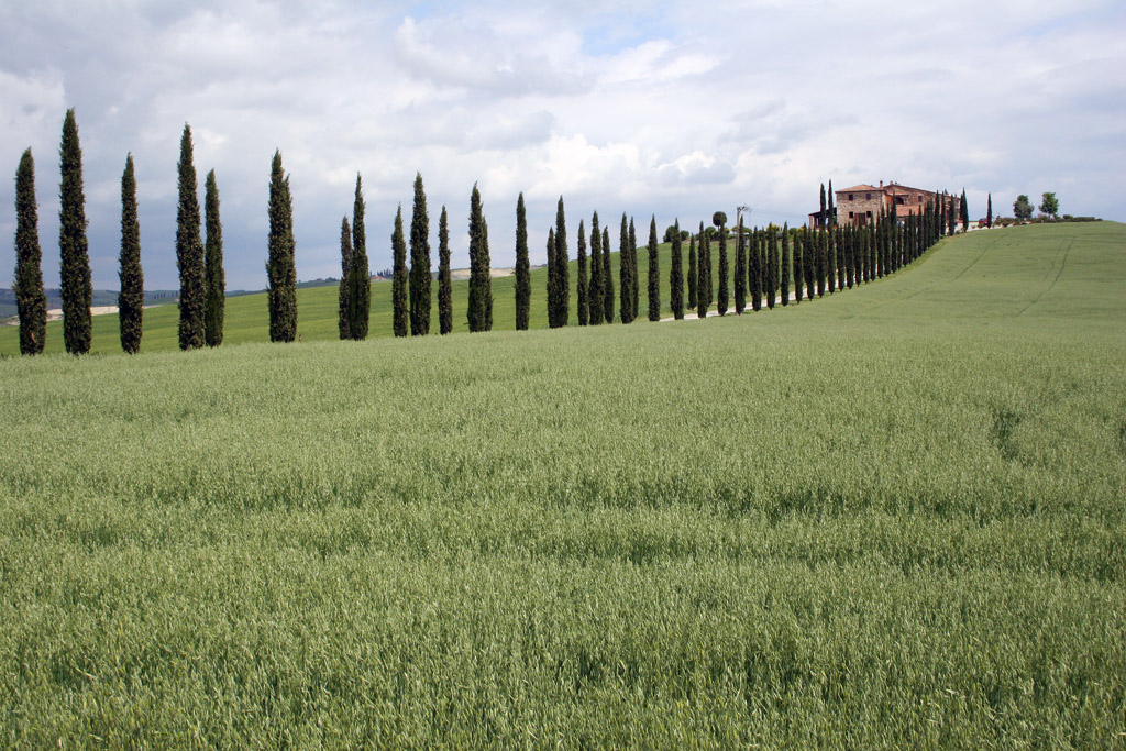 Val d'Orcia