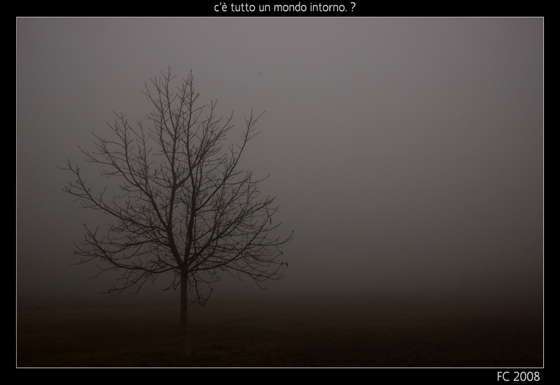 c'� tutto un mondo intorno. ?