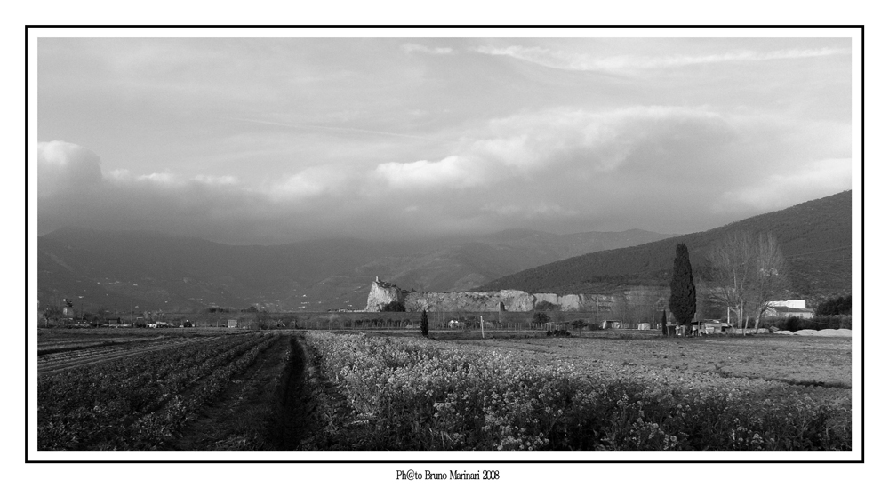 Pisa Veduta della Torre di Caprona
