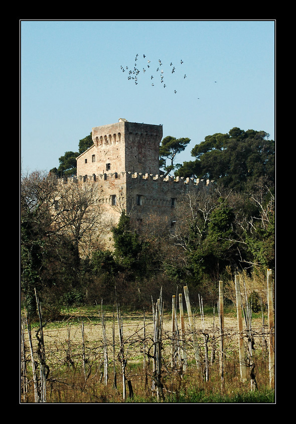 La rocca e la vigna