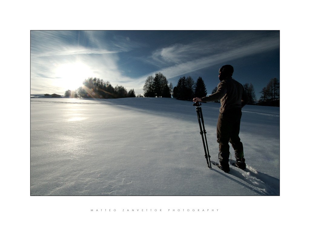 Nature is my Kingdom XIV