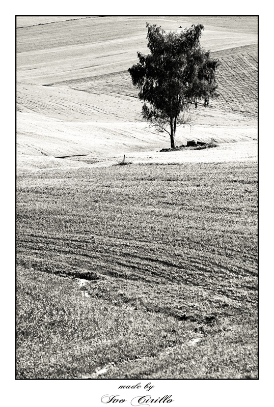 ...ora � solo in bn...;)