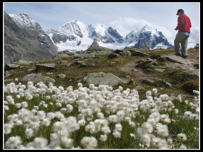 passeggiando in paradiso