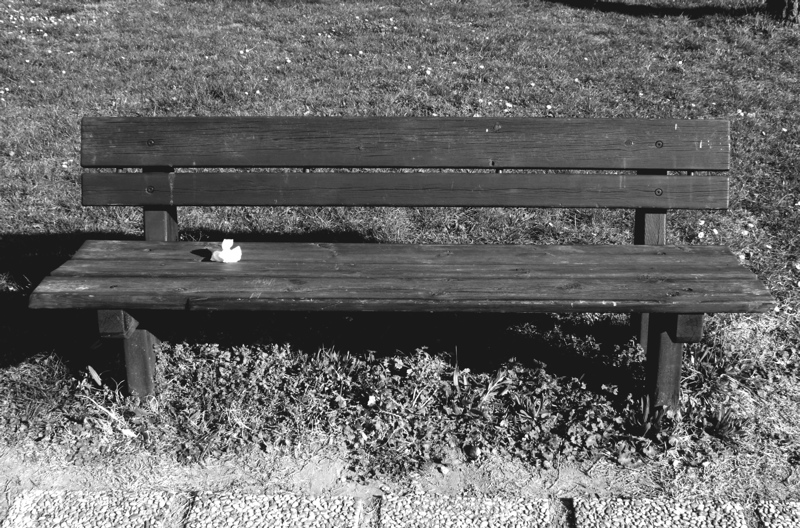 pene d`amore o raffreddore..?