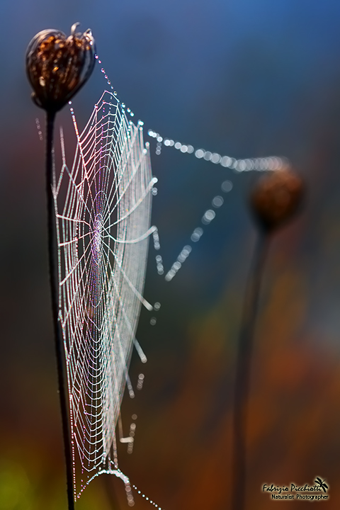 Sotto l'effetto della coca...cola!