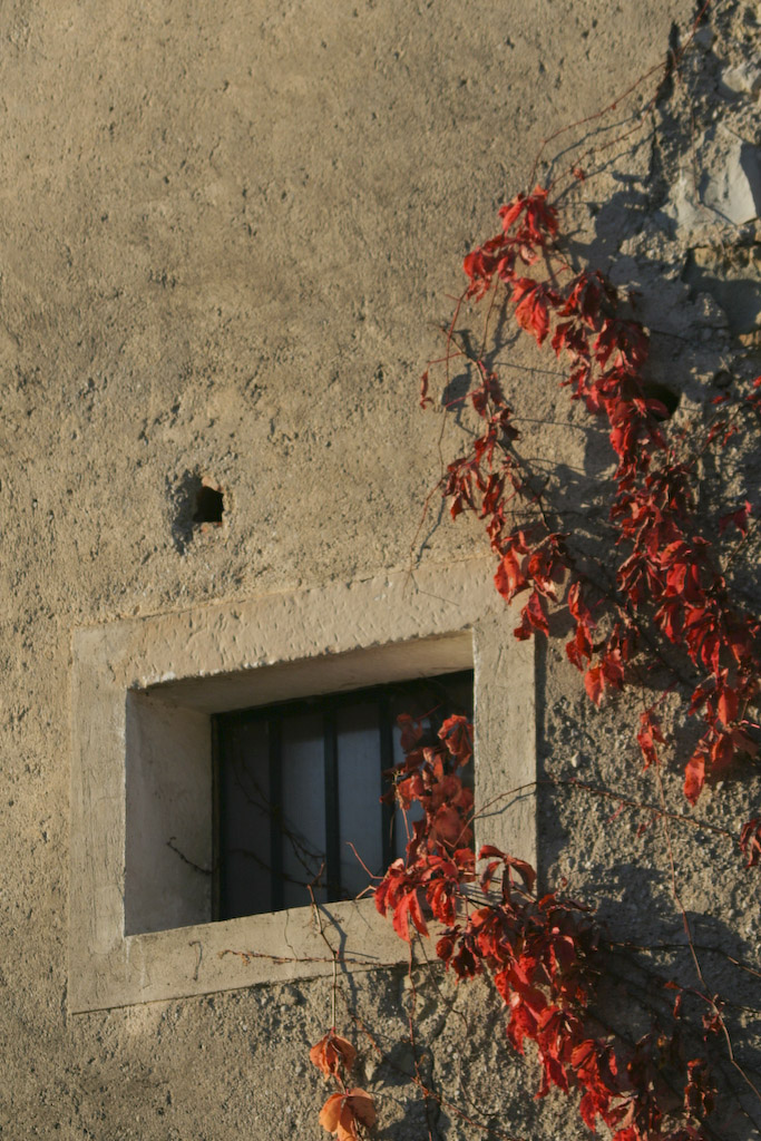 La finestra sul cortile
