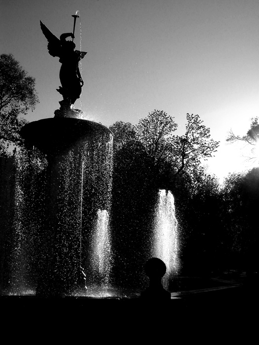 Fontana controluce bn