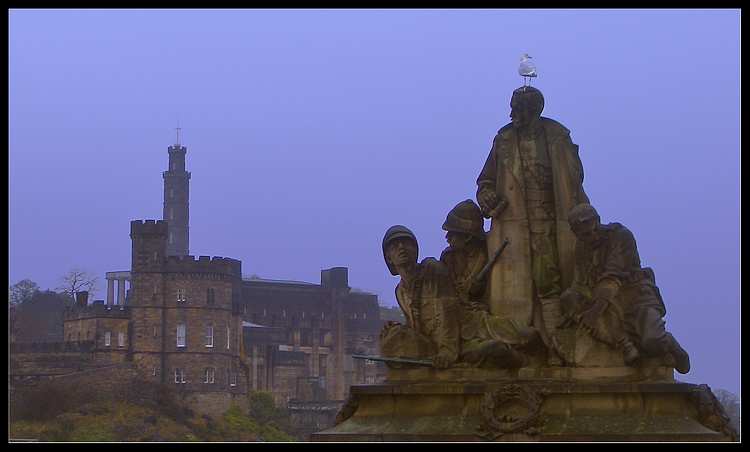 Gabbiano ad Edinburgh