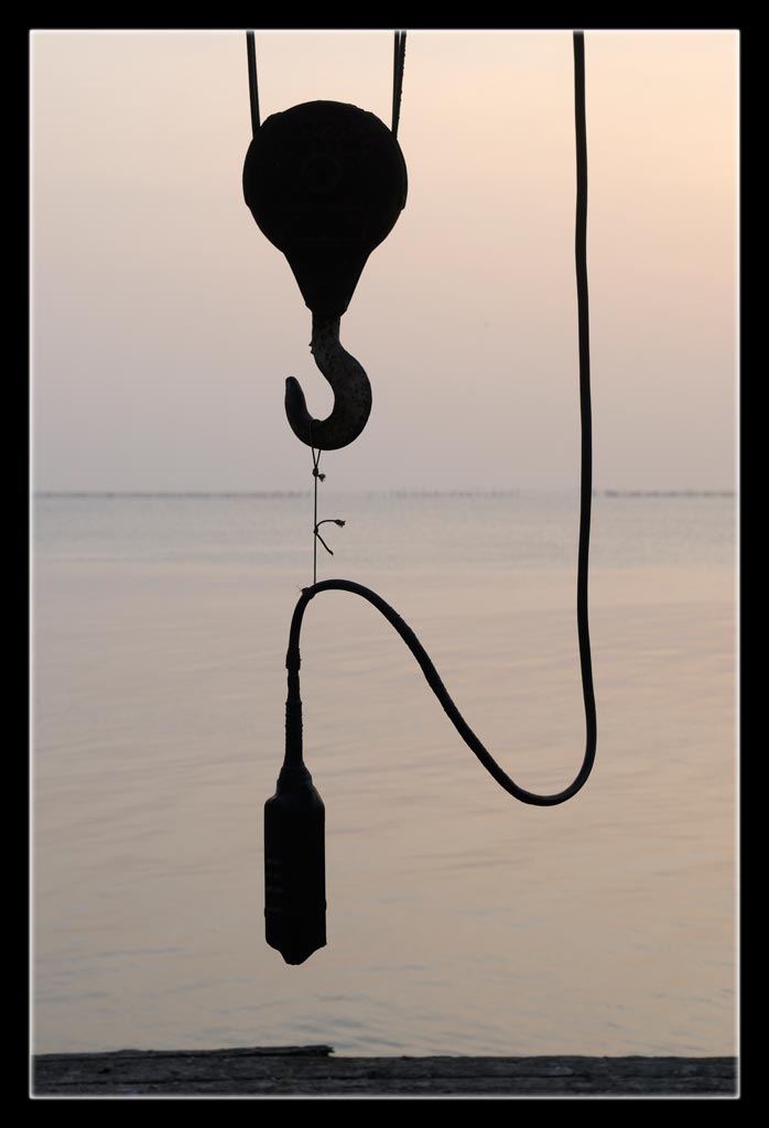 Gru a riposo - Lido di Venezia