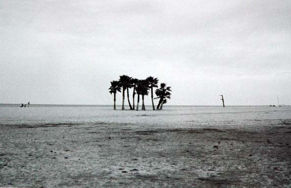 In solitudine... a Sant Vin�ent de Calders (Tarragona)
