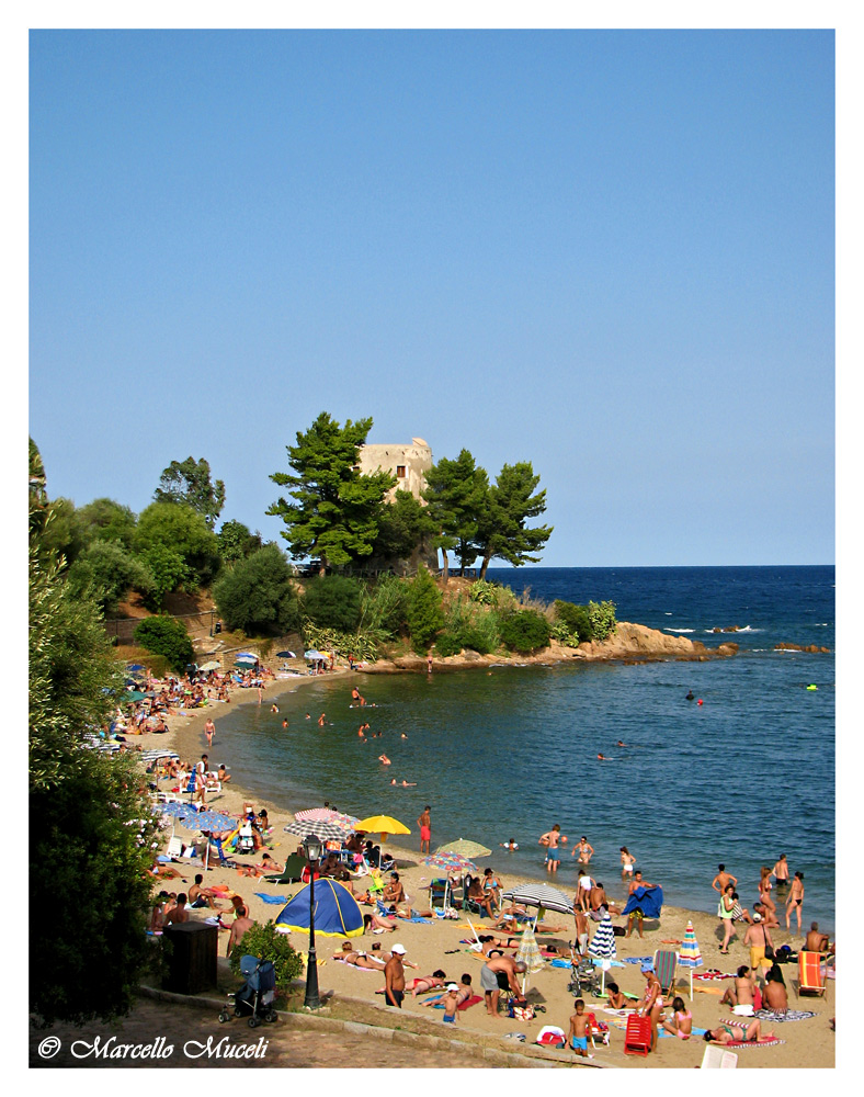 S. M. Navarrese (NU)