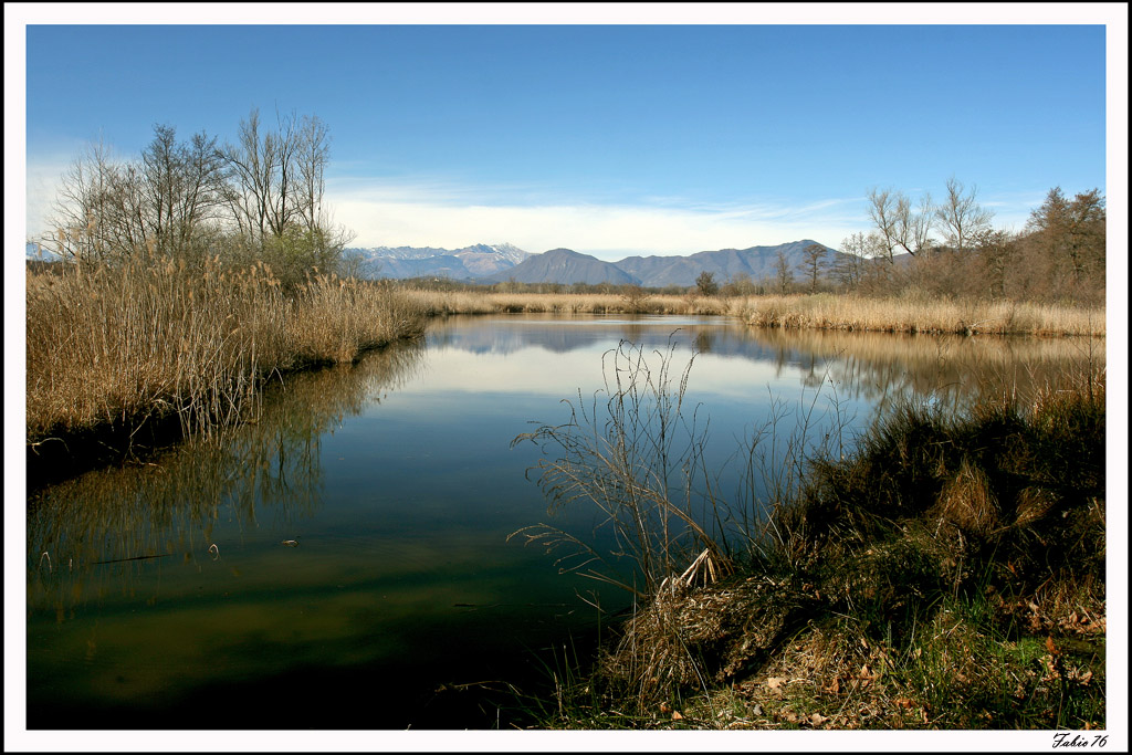 Palude Brabbia2