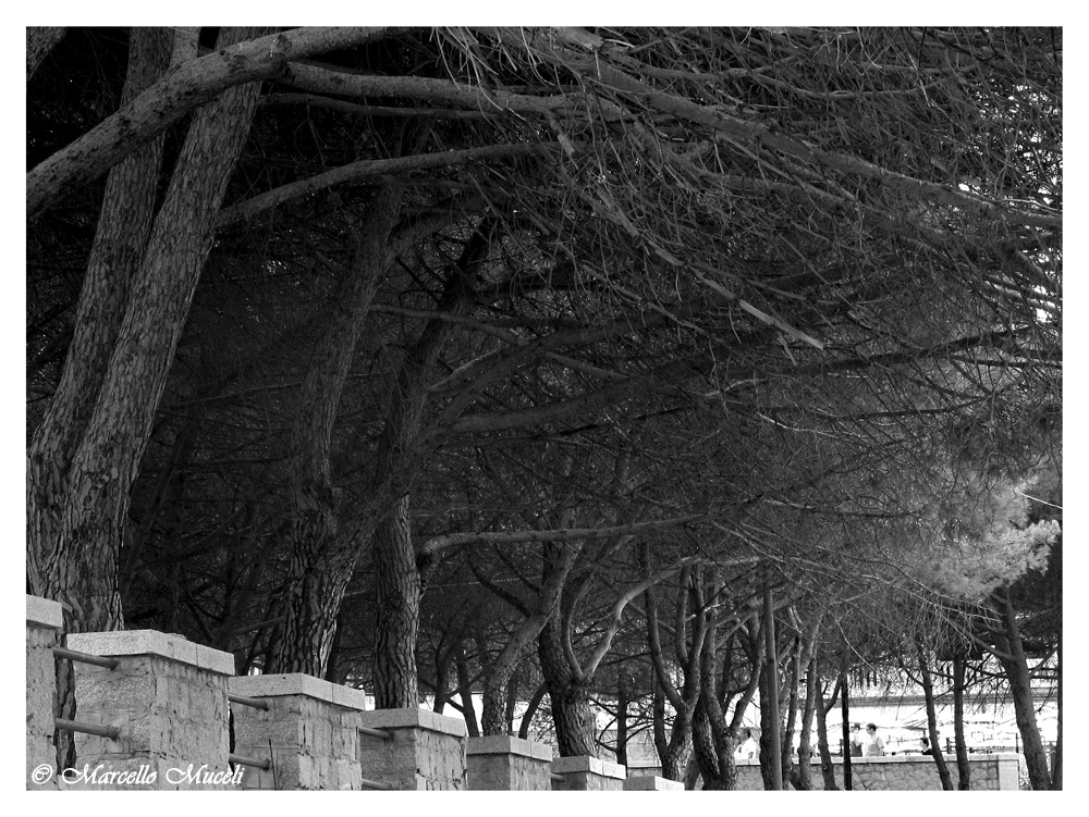 insieme appassionatamente