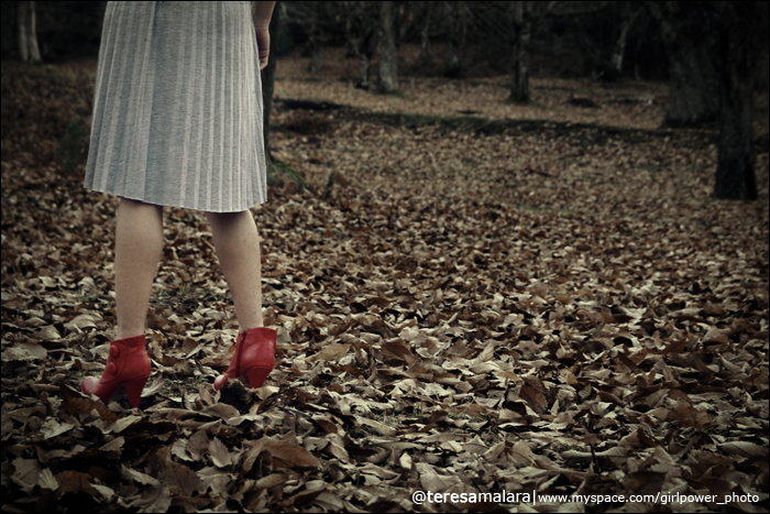 The Red Shoes