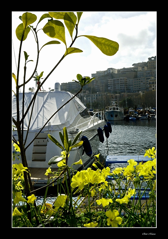 Primavera all'imbarcadero