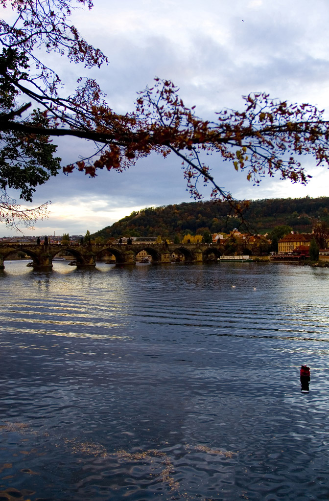 Scorcio d'autunno sul fiume Moldava