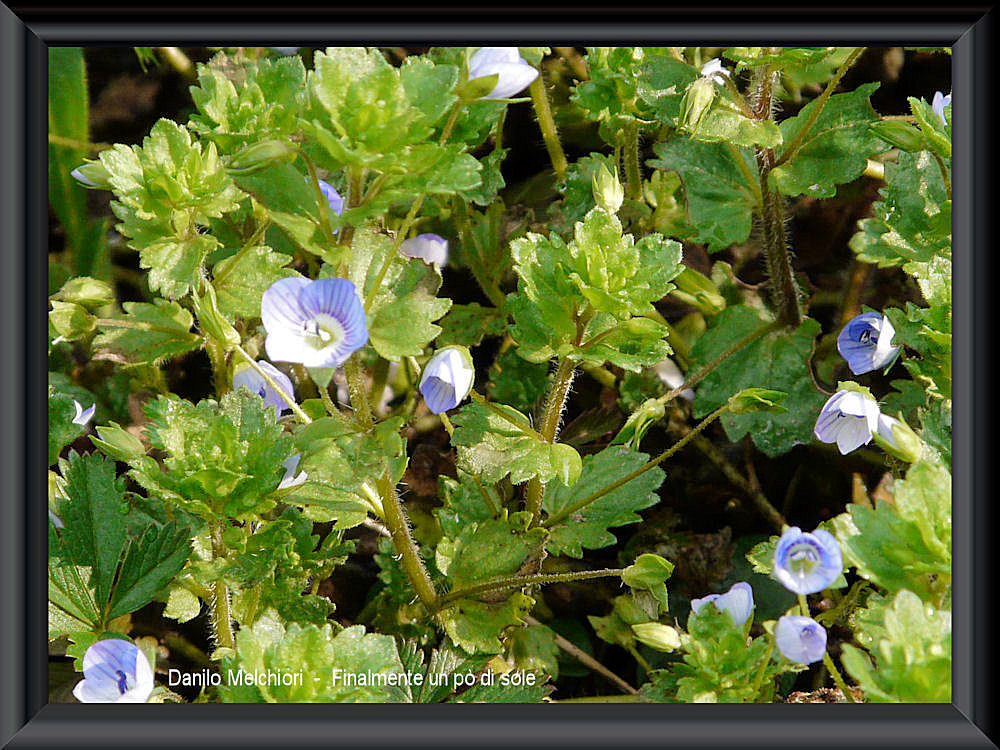 Finalmente un pò di sole