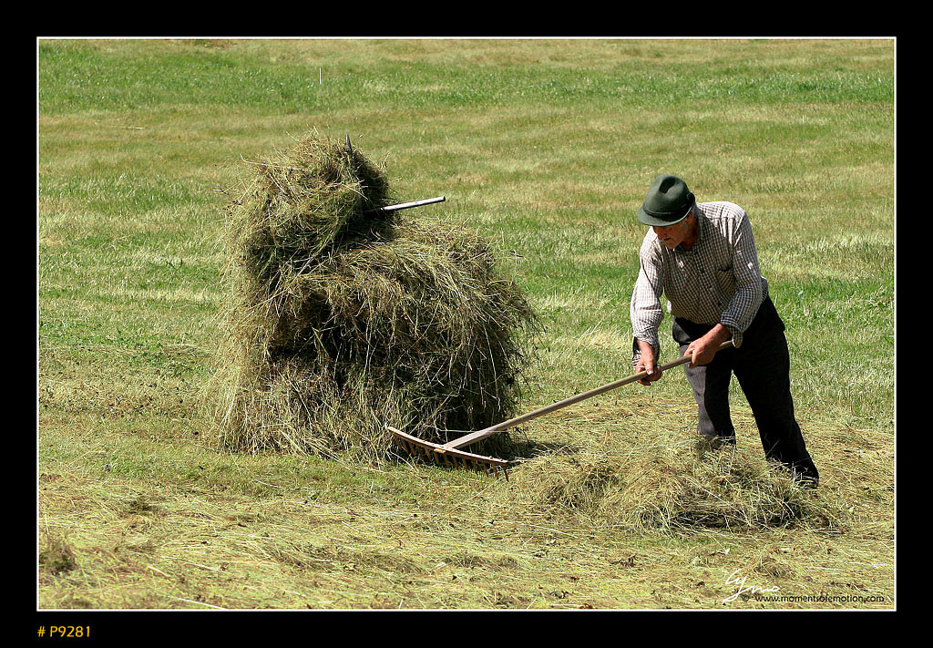 il duro lavoro dei campi